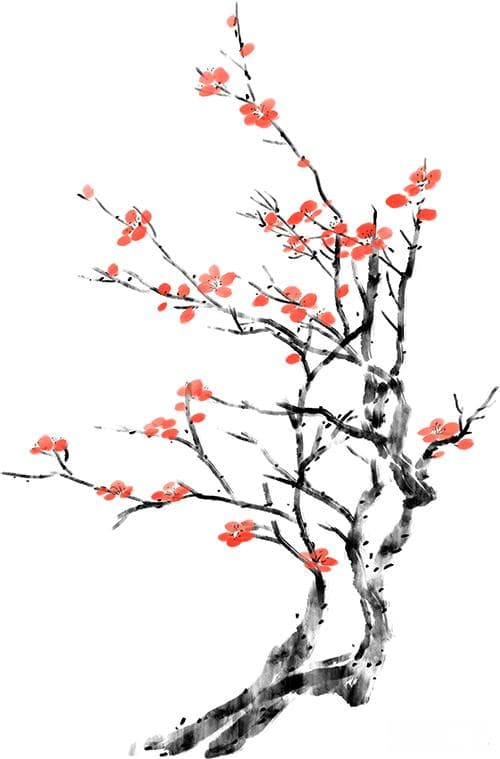 浸润在杏花微雨里的宋代诗词惊艳的不只是时光