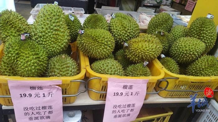 榴莲南北都能种？专家：别上当了！