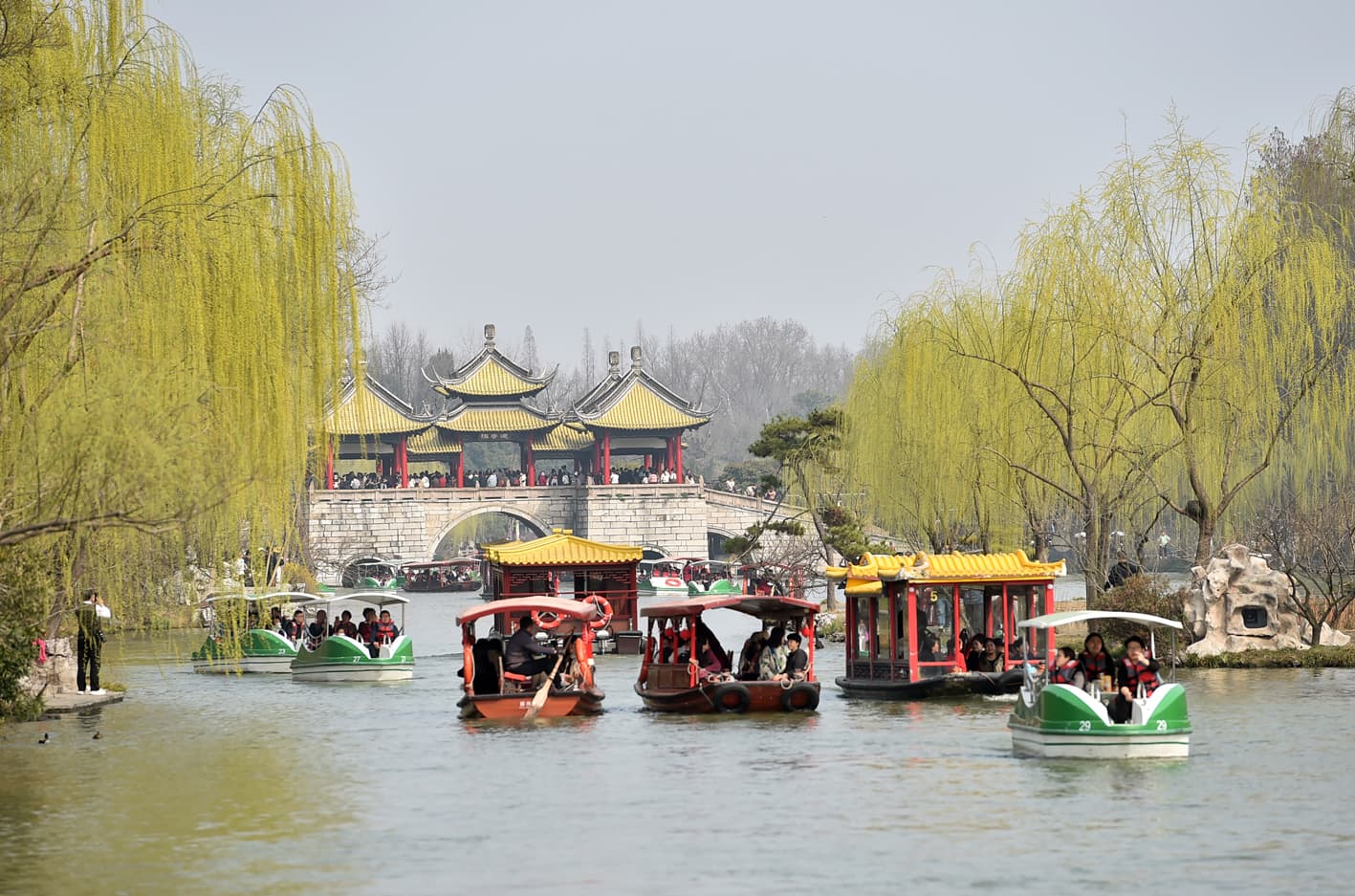 春花相继盛开赏花游人气加速飙升 扬州旅游旺季提前启动