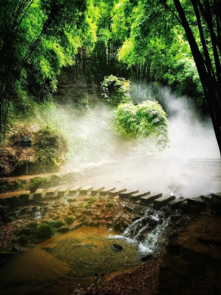 川西竹海：天然氧吧的清凉诗篇