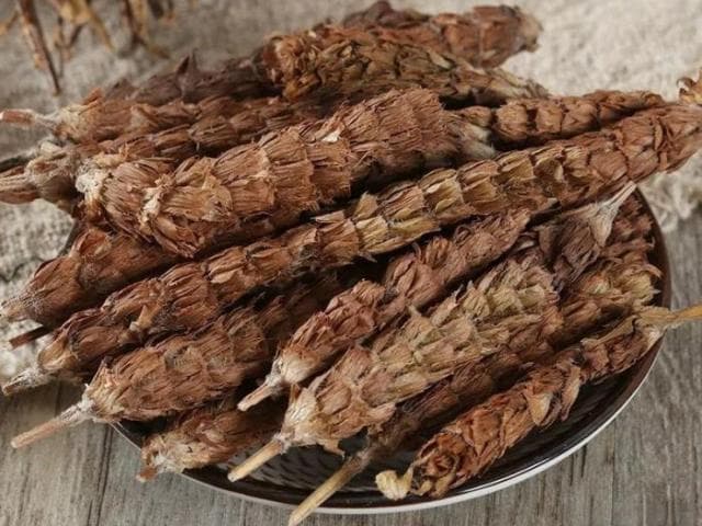 夏枯草——清肝明目，散结解毒