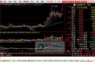 股市融资融券数据查询指南：多种渠道轻松获取实时信息