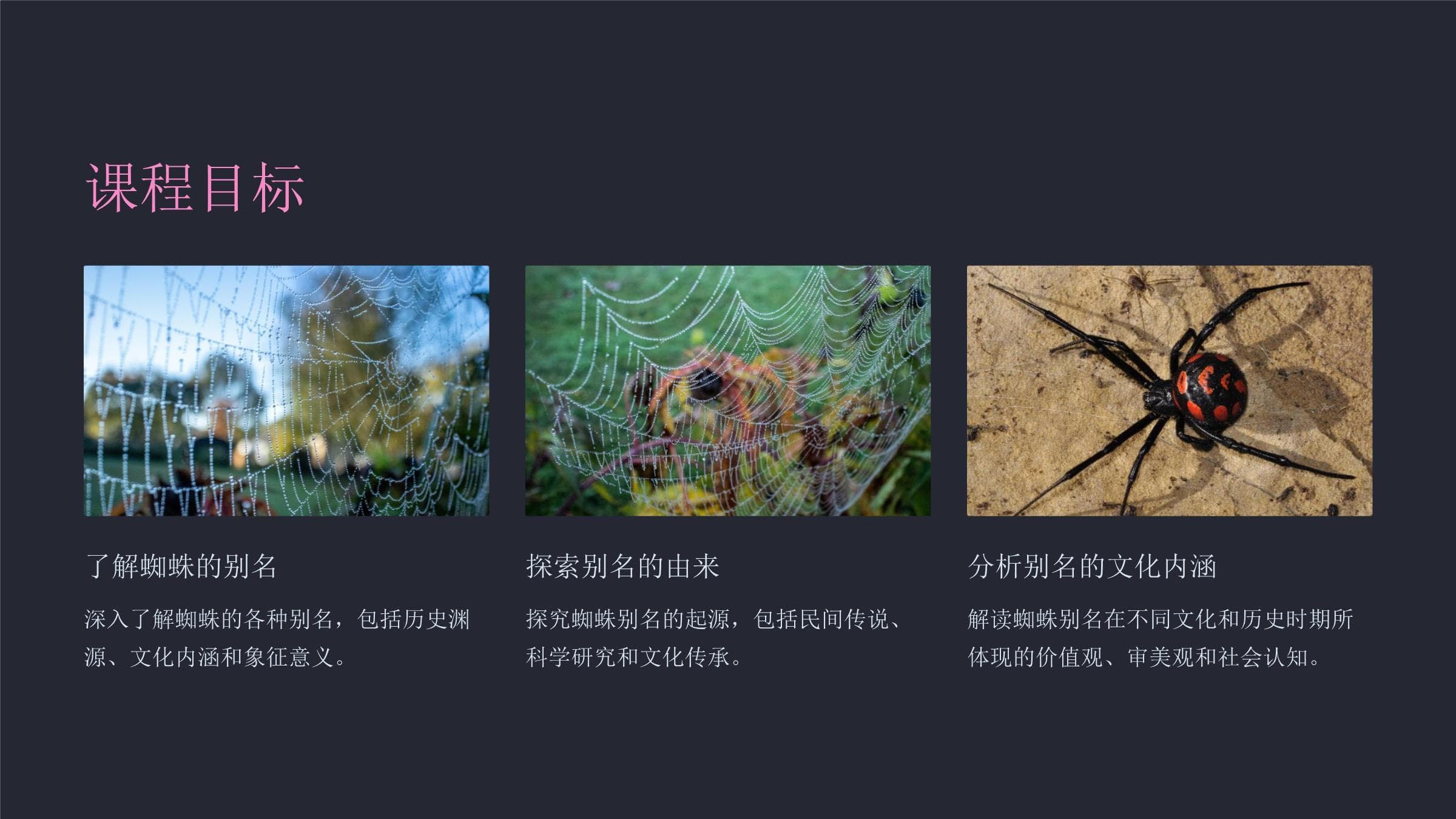 蜘蛛的别名考：从科学到文化的全面解读