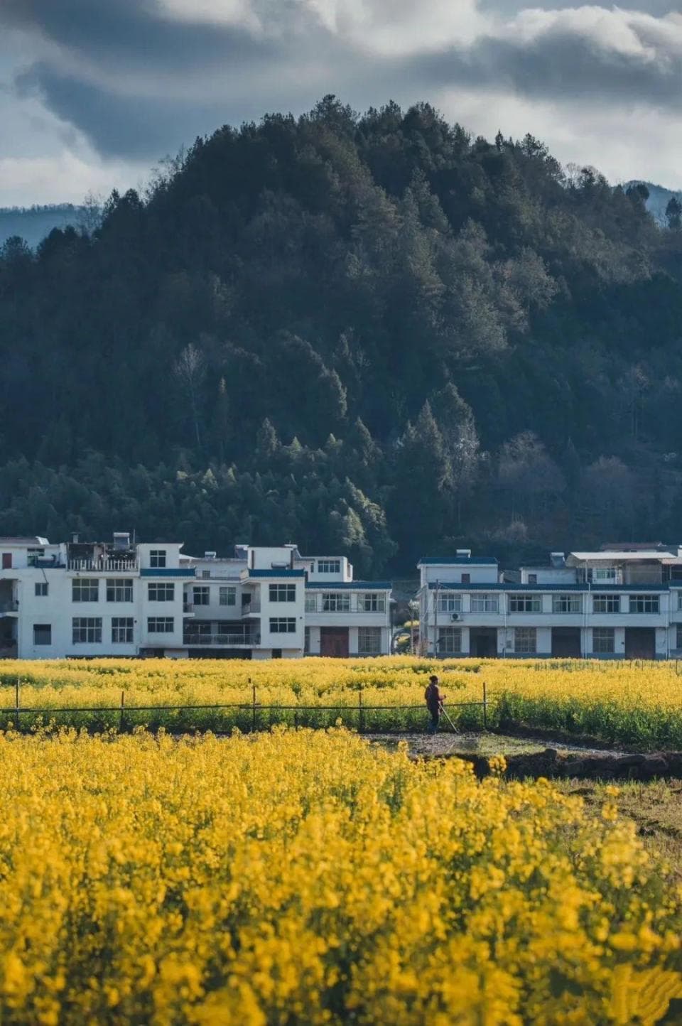汉中版山河社稷图，到底藏有何种魔力？