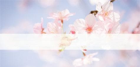 使用U盘引导安装原版系统的详细教程（以Windows操作系统为例）