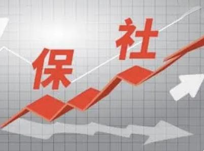 自由职业者社保办理指南：从资格确认到缴费查询