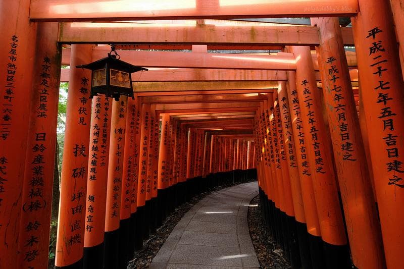 京都伏見稻荷大社：千本鳥居必看！狐狸御守、交通＆附近景點一日遊