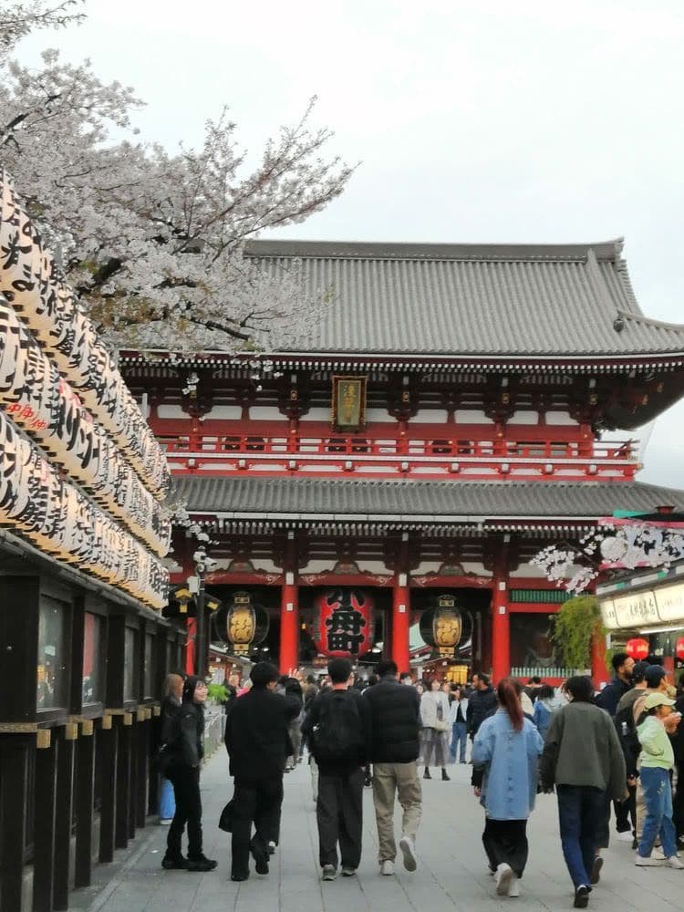 人气爆棚浅草寺
