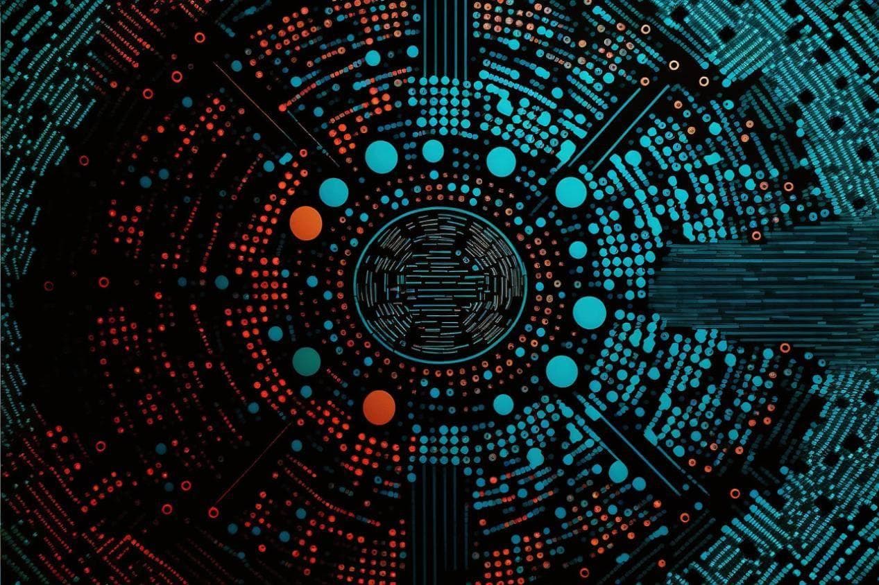 网络中的节点特征结构是什么