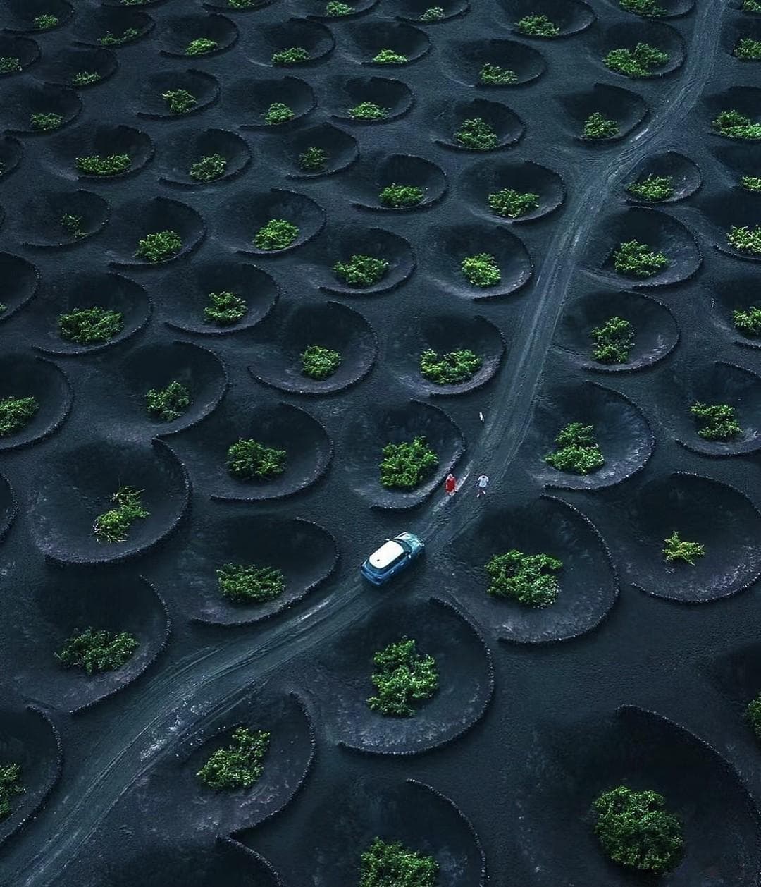 交强险，你真的了解吗？