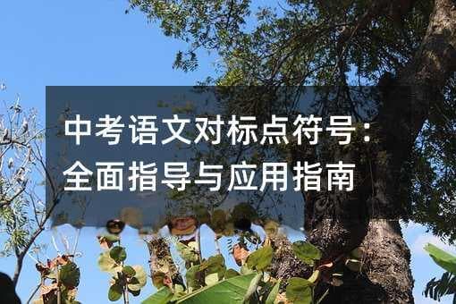 中考语文对标点符号：全面指导与应用指南