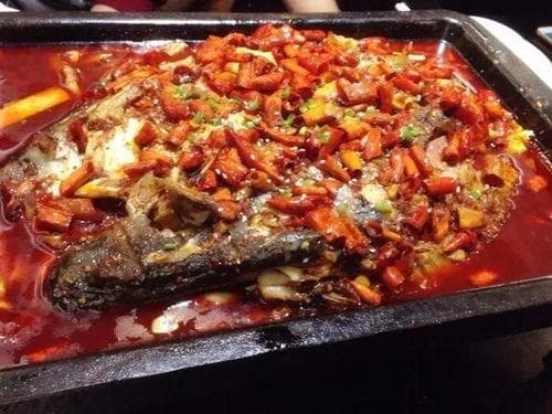 揭秘凌波鱼：神秘水族的真相揭晓！