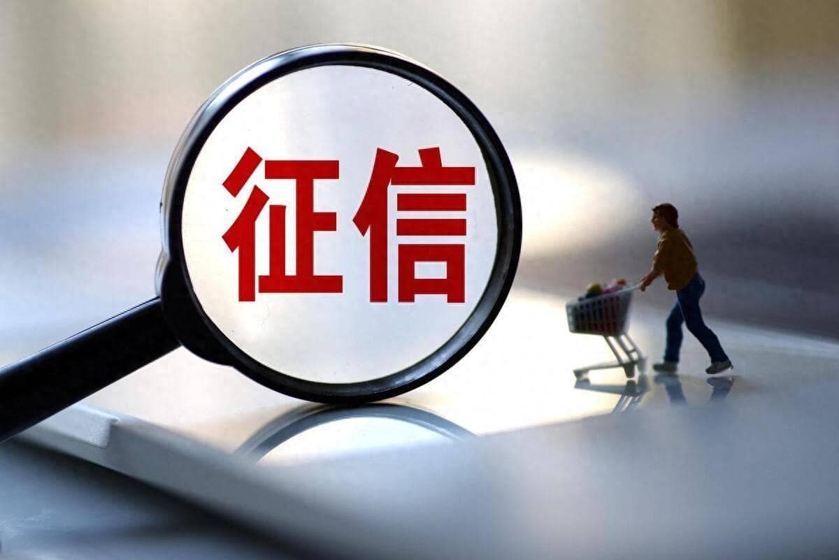 破解企业征信不良困局：实战策略与重生之路