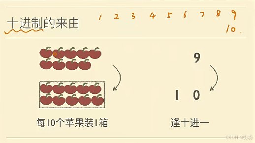 假如我们只有四根手指？——八进制计数法详解