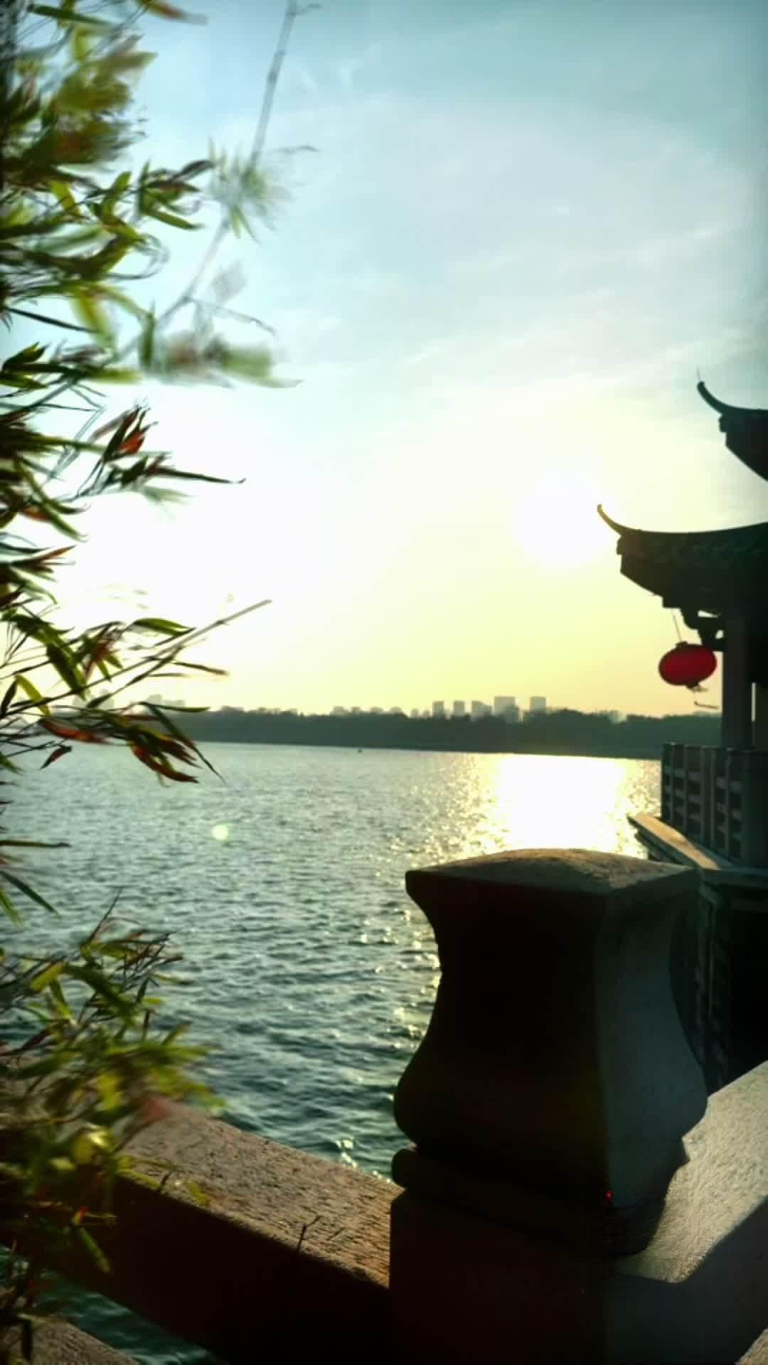 潮州工夫茶：非遗传承人详解传统冲泡技艺与文化内涵