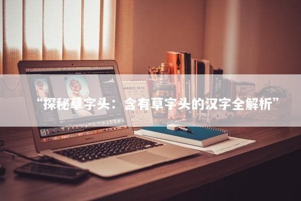 探秘草字头：含有草字头的汉字全解析