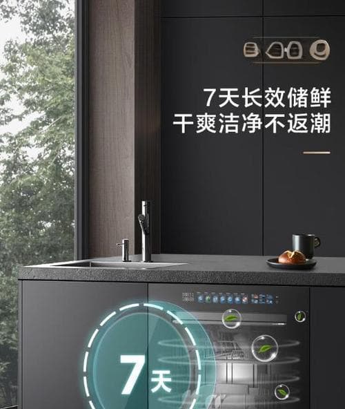 如何高效使用洗碗机节约能源（节能方法和技巧）
