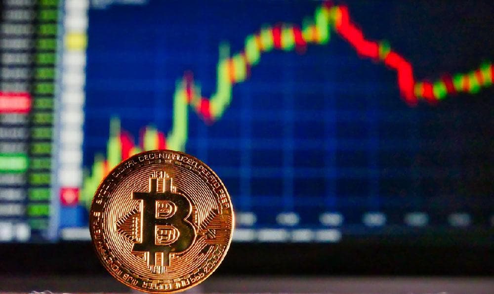 股票基本面与技术面分析：从理论到实践