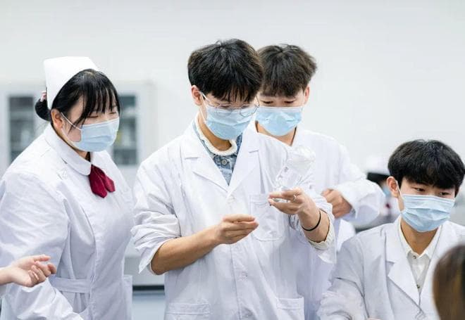 医学本硕博连读 vs 正常考研：含金量大比拼