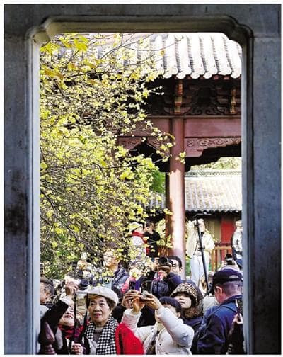 城中花事 四时流光 从赏花到“赏花经济”的杭州探索
