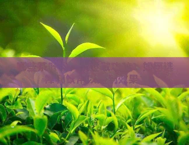 哪些茶叶具有抗过敏功效？如何选择和饮用以达到效果？
