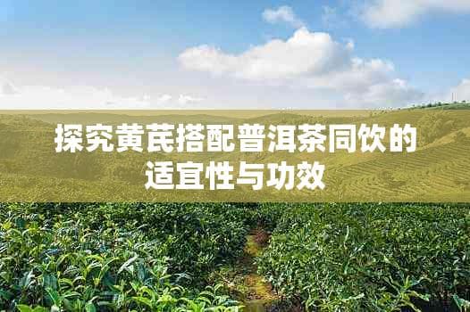 探究黄芪搭配普洱茶同饮的适宜性与功效