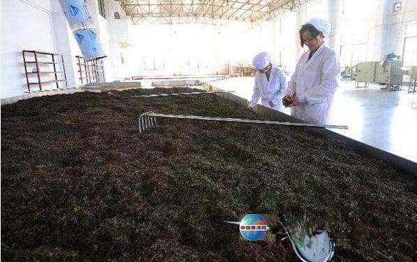 普洱熟茶7个等级全解析：从宫廷到九级的外观与口感差异