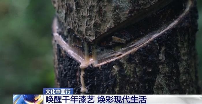 文化中国行丨古老的漆艺如何更好地融入现代生活？
