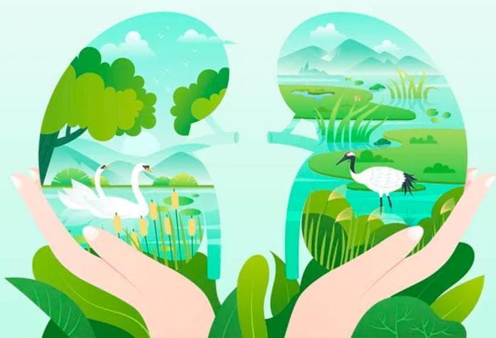 广东重要湿地名录公布！潮州藏着2处如诗如画的“宝地”
