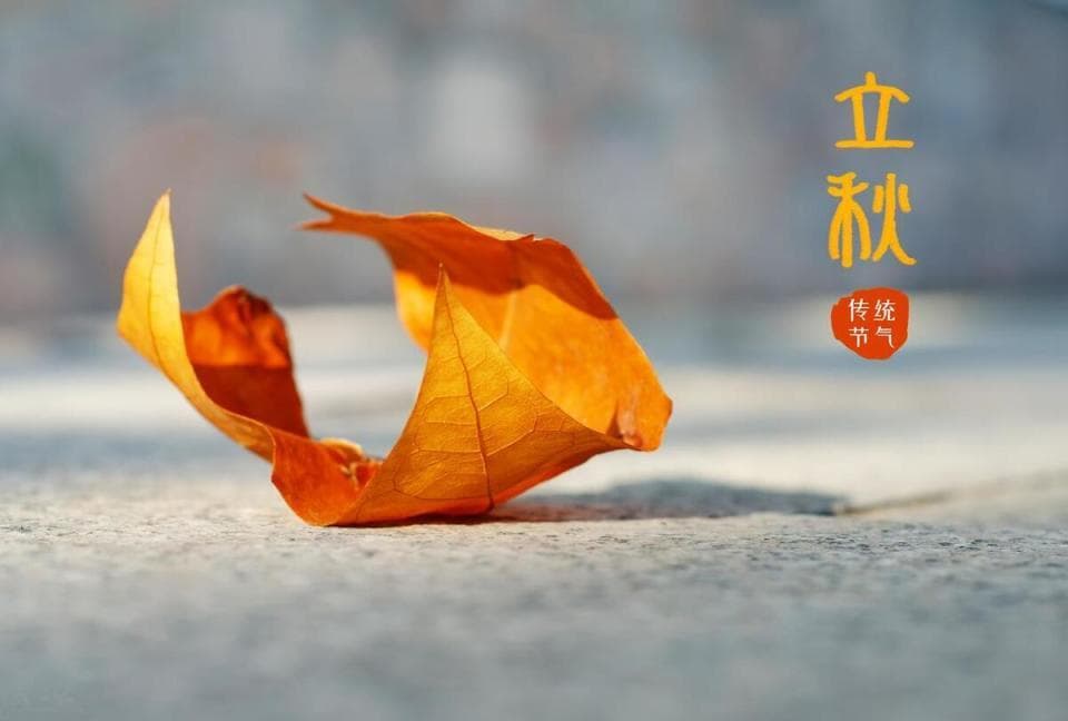 立秋：早立秋还是晚立秋？“秋老虎”将持续多久？