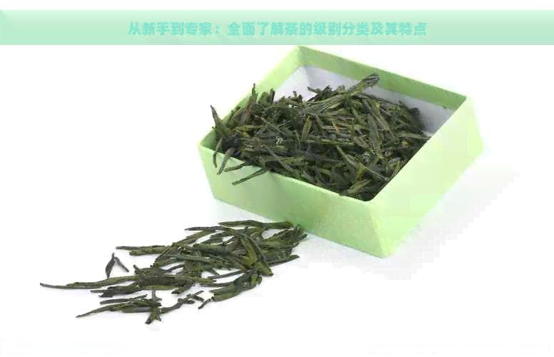 从新手到专家：全面了解茶的级别分类及其特点