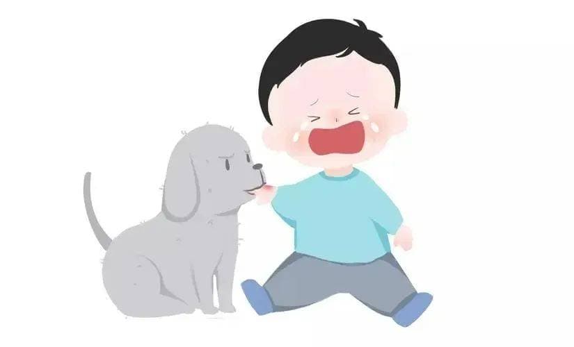 狂犬病预防指南：从认识疾病到有效预防