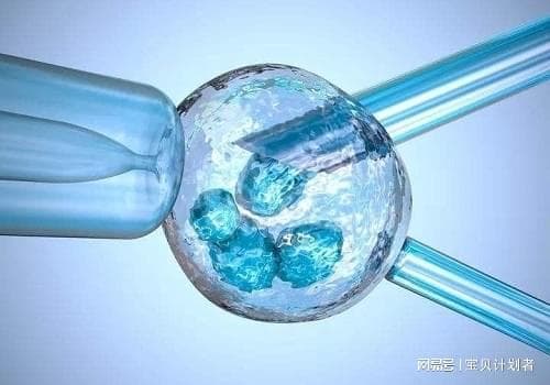 如何备孕才能有效预防出生缺陷
