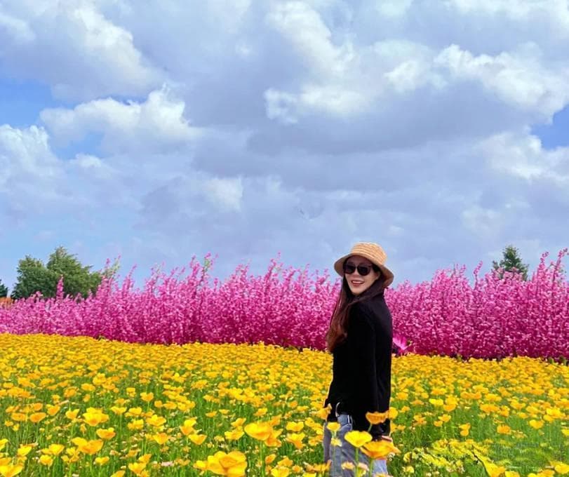 波密桃花节旅游攻略：邂逅桃花源，畅享藏式风情