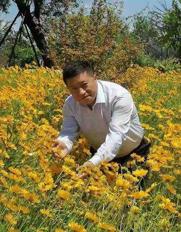 青岛王海波老师：以周易智慧点亮生活，解读81数理奥秘