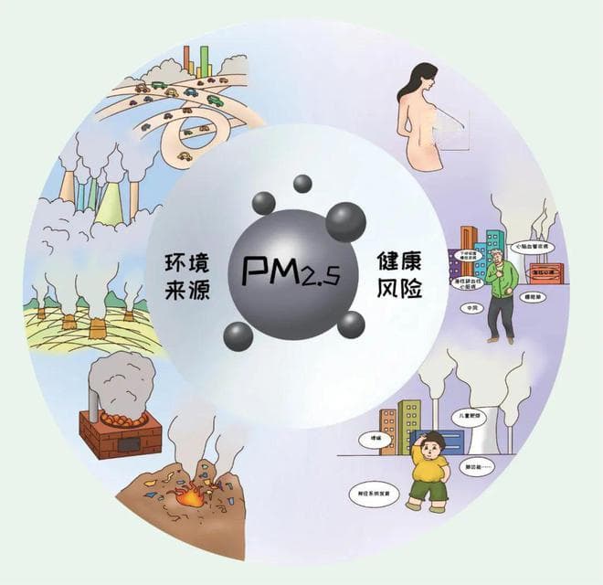 呼吸健康：揭秘大气细颗粒物对健康的影响