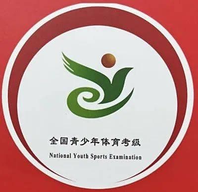 2024年秋季全国青少年乒乓球等级考试公告