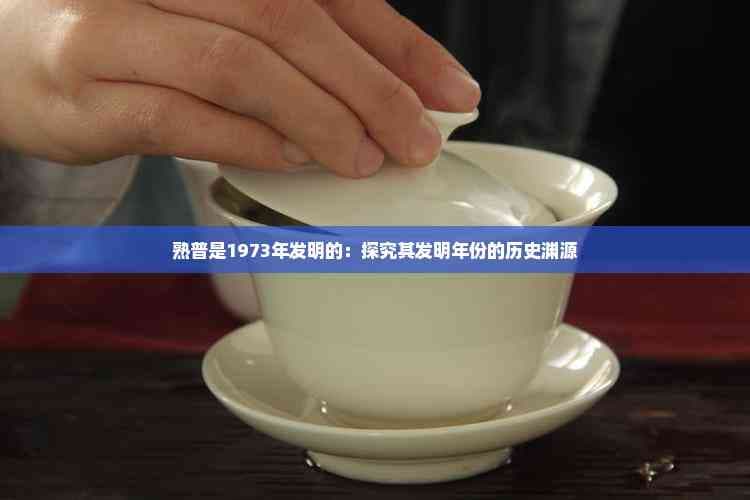 熟普是1973年发明的：探究其发明年份的历史渊源