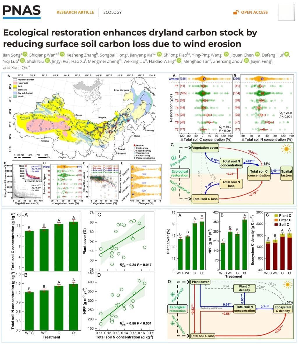 PNAS：生态恢复通过降低风蚀提升旱地碳储量