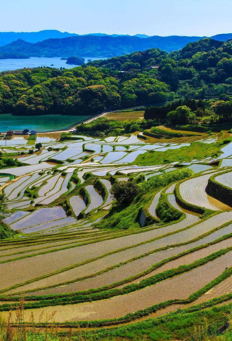 九州佐贺：封建城堡、古老的陶器村以及疗愈身心的温泉
