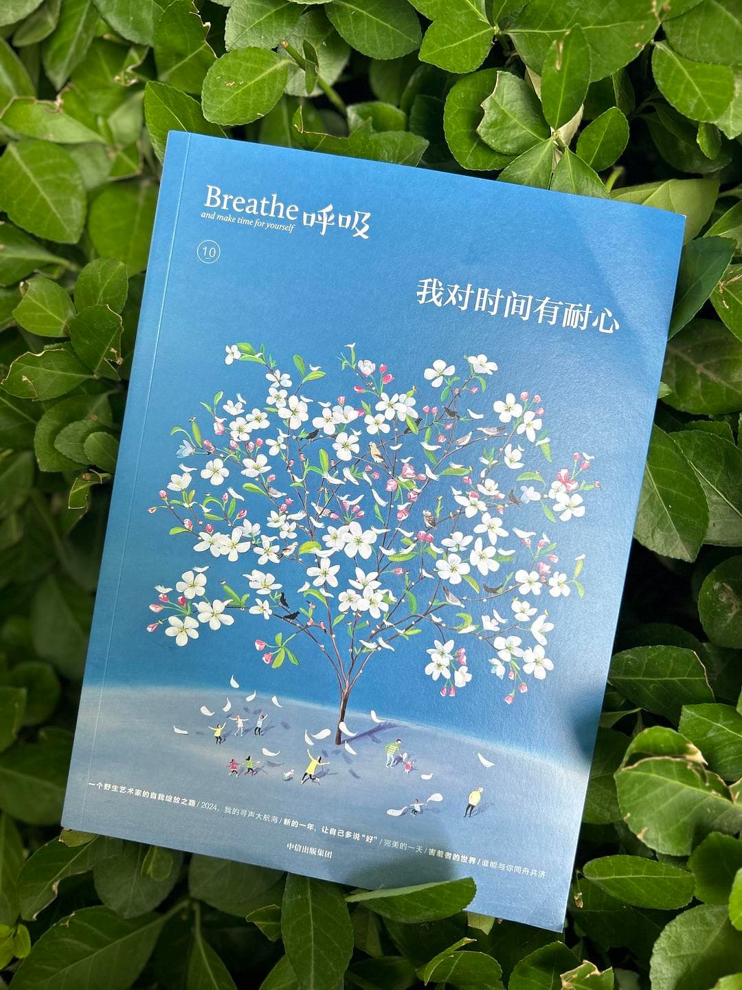 快时代的心理疗愈MOOK