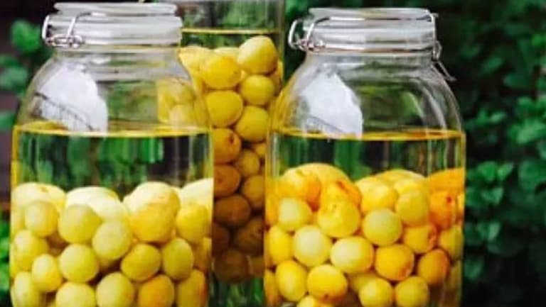 橄榄泡酒的功效与作用、禁忌和食用方法