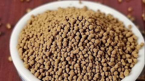 小儿豉翘清热颗粒：成分、功效与使用指南