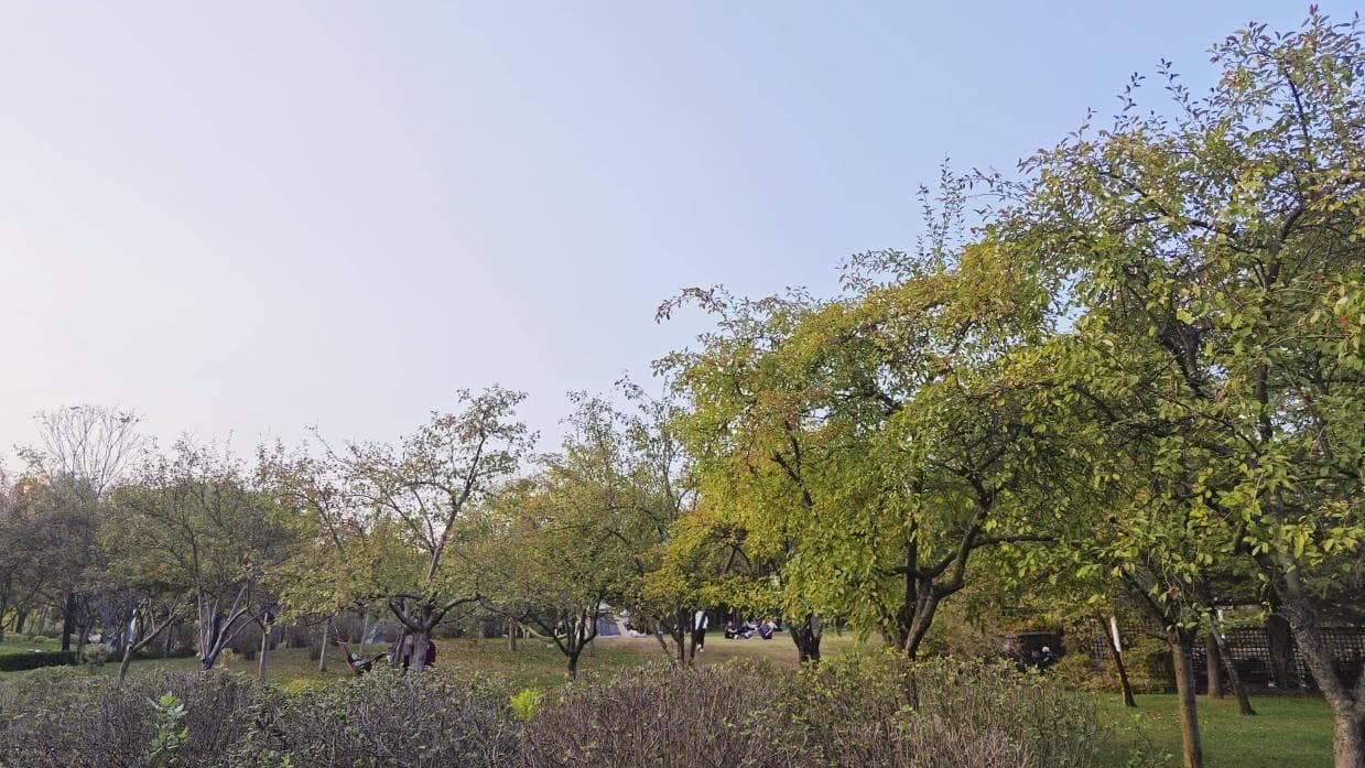 如何理解老子所说的“生而不有，为而不恃，长而不宰，是谓‘玄德’”？