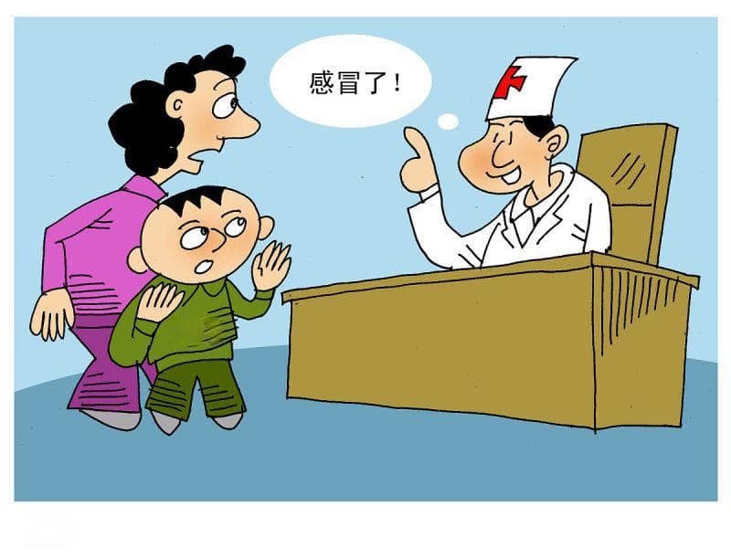 湿热体质适宜饮用的四种中草药茶