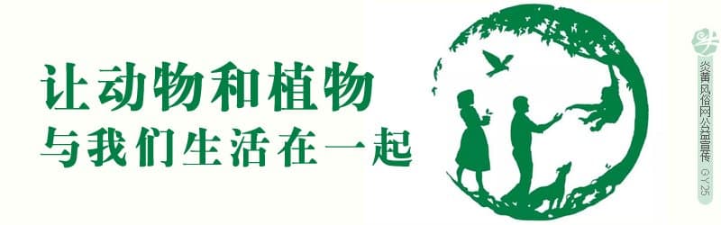 福建福清“五涧”