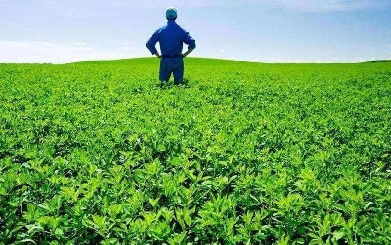 中国“强农兴农”新武器：高科技农业！（附12项顶尖科技）