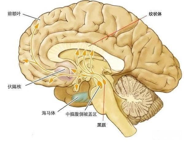 为什么把氯丙嗪称为精神科的“青霉素”？