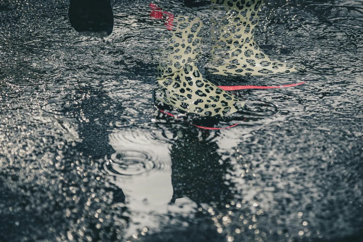 童年的色彩：《妹妹的红雨鞋》诗意解读