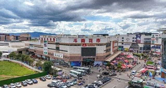 超140亿枝！斗南！25年蝉联全国第一